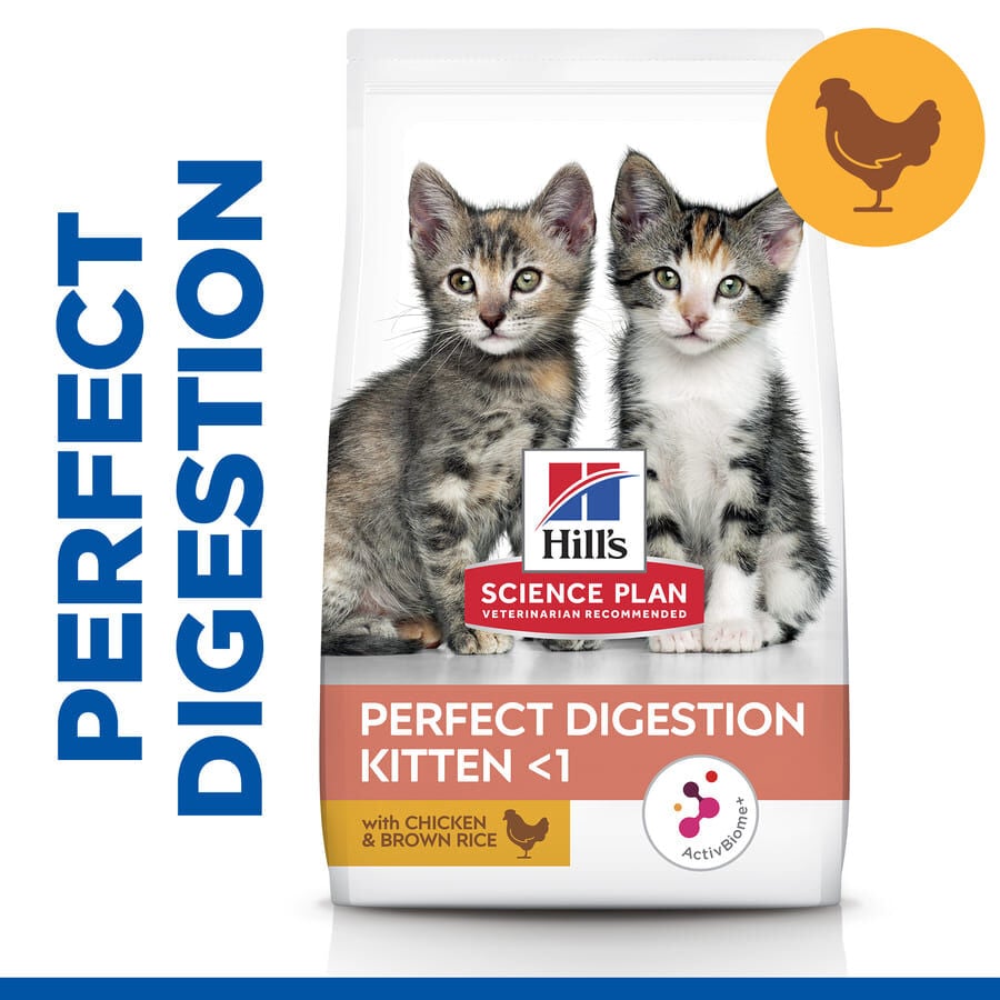 1.5 kg Hill's Science Plan Perfect Digestion Kitten Pienso para gatos, , large indicador imagen numero 2